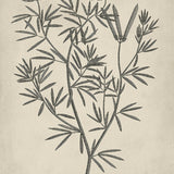 botspl04_3