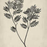 botspl06_3
