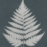 brenf02_3