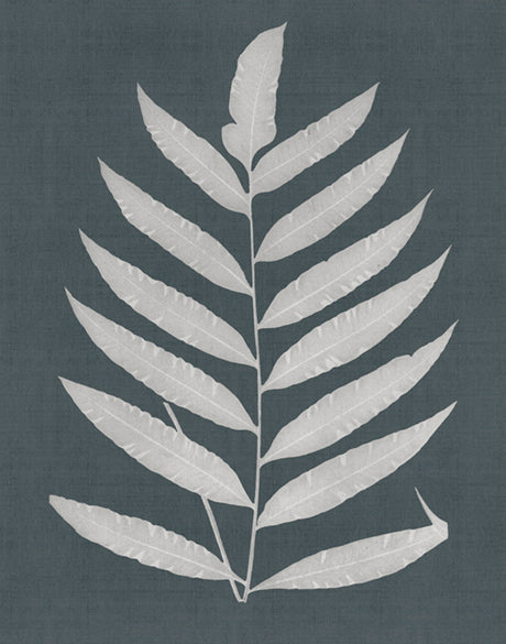 Brenford Fern III