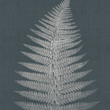 brenf04_3