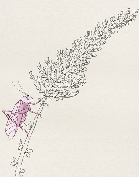 Bug Life X
