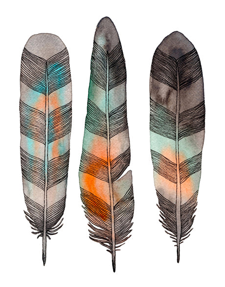 California Feather III (Canvas)