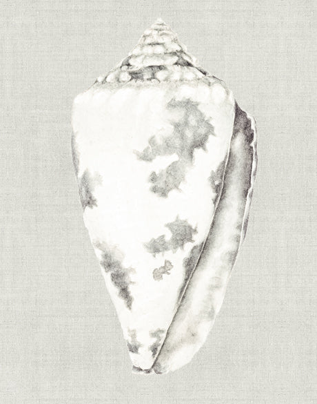 Shell on Linen I