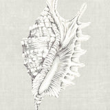 calabria04-c_3