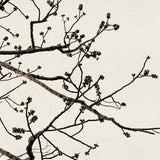 canopy01_3