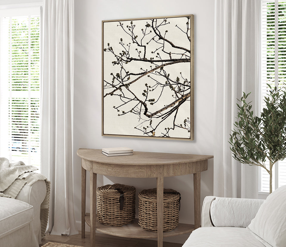 Canopy Silhouette II (Canvas)