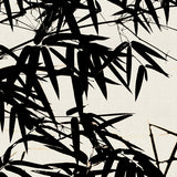 canopy03_3