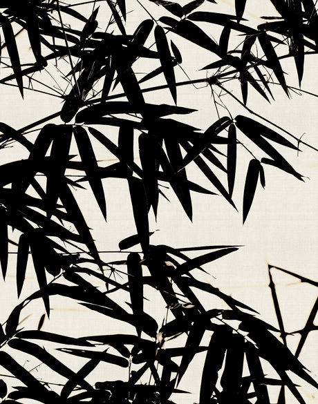 Canopy Silhouette III