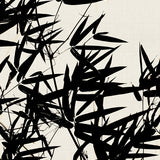 canopy04_3