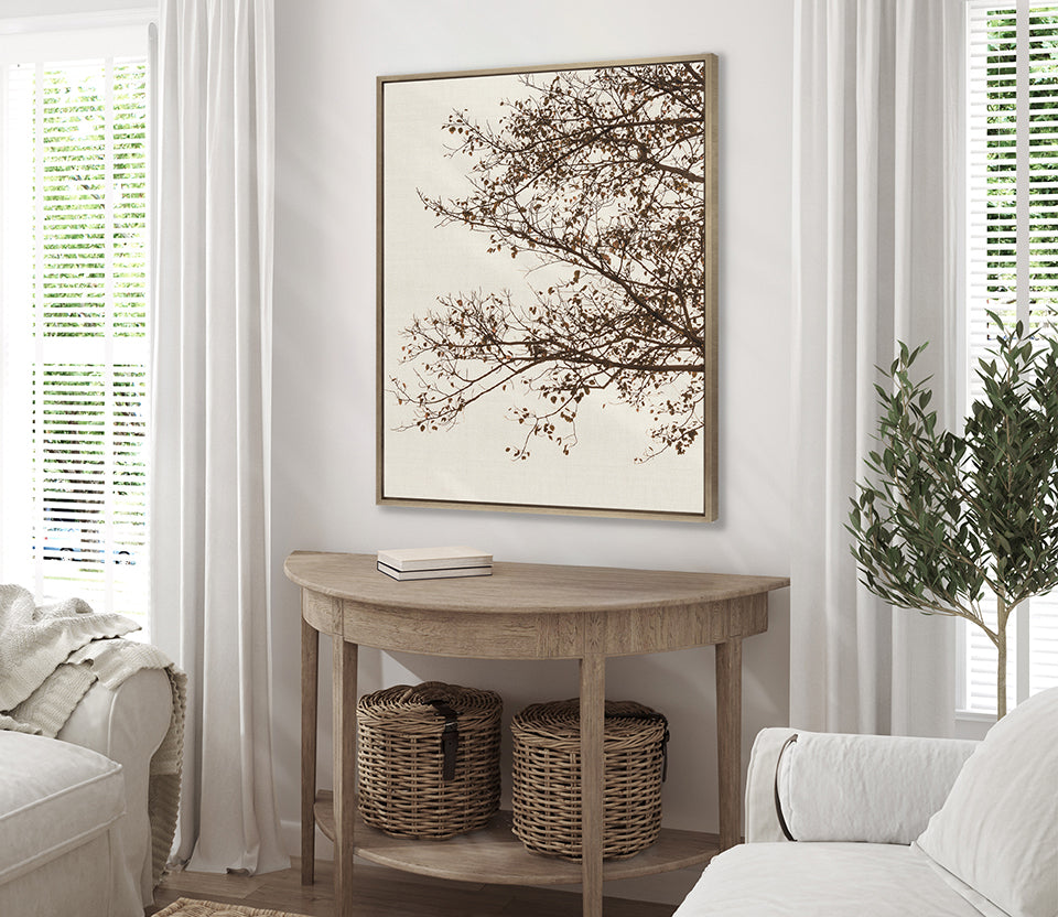 Canopy Silhouette V (Canvas)