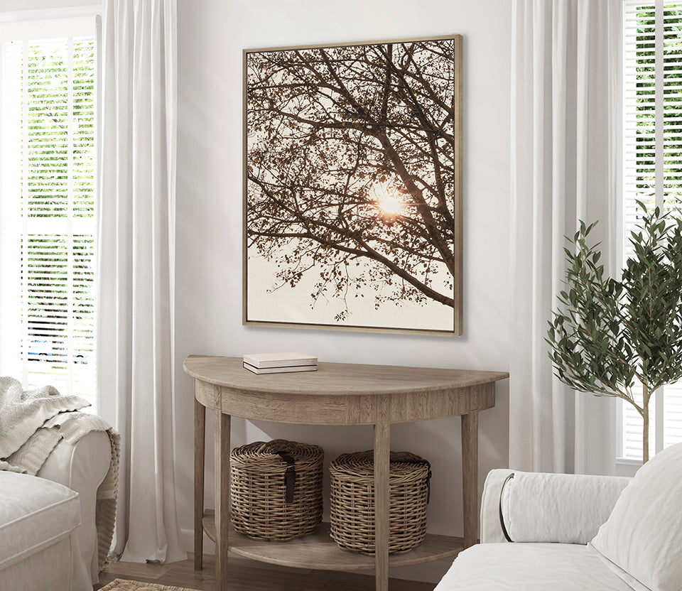Canopy Silhouette VI (Canvas)