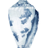 car01-c-l_3