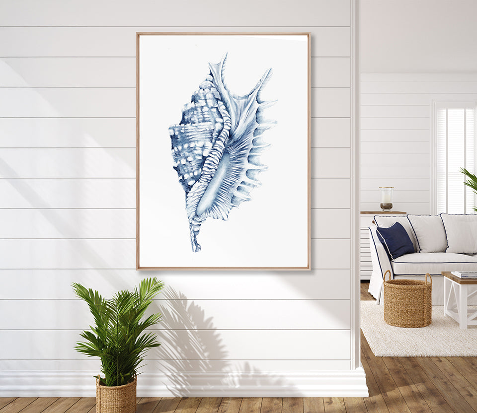 Exquisite Shell IV (Indigo) (Canvas)