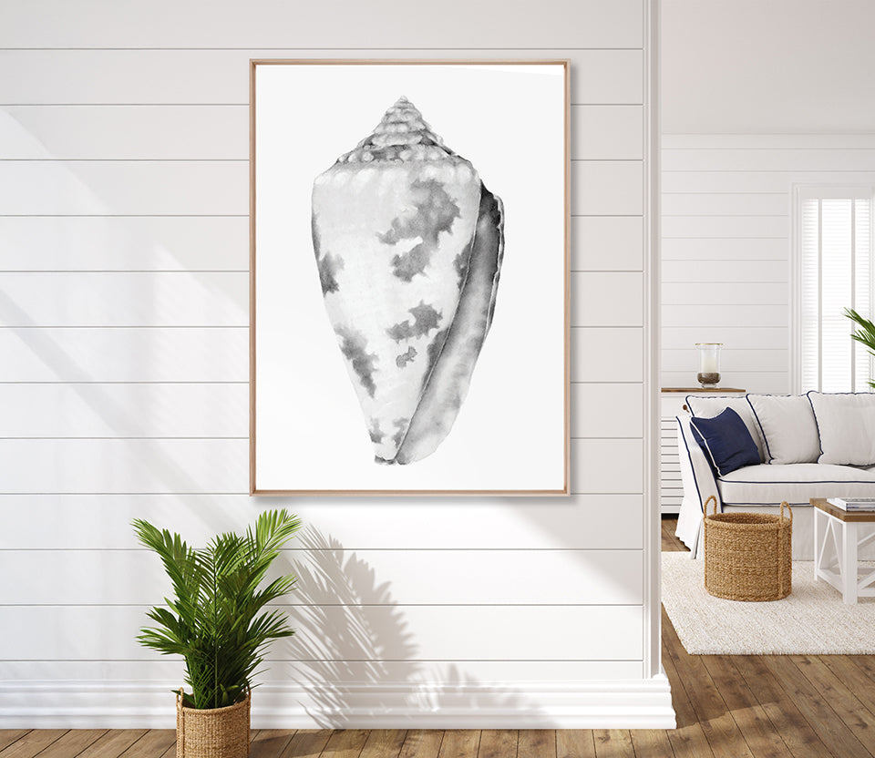 Exquisite Shell VII (Soft Grey) (Canvas)