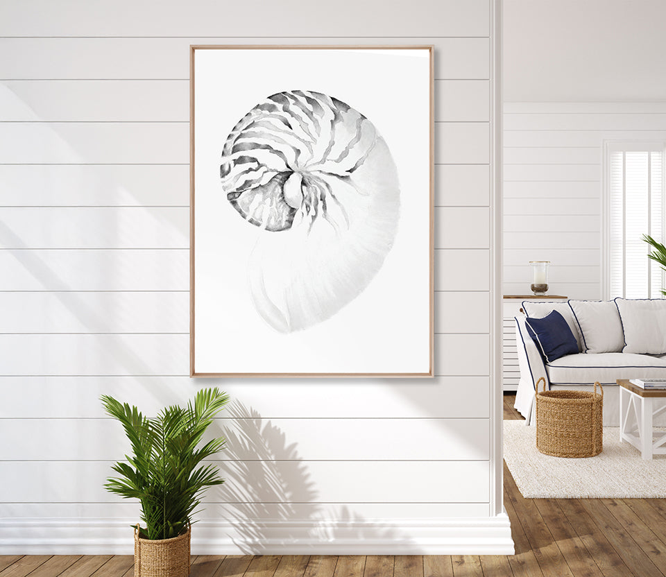 Exquisite Shell VIII (Soft Grey) (Canvas)