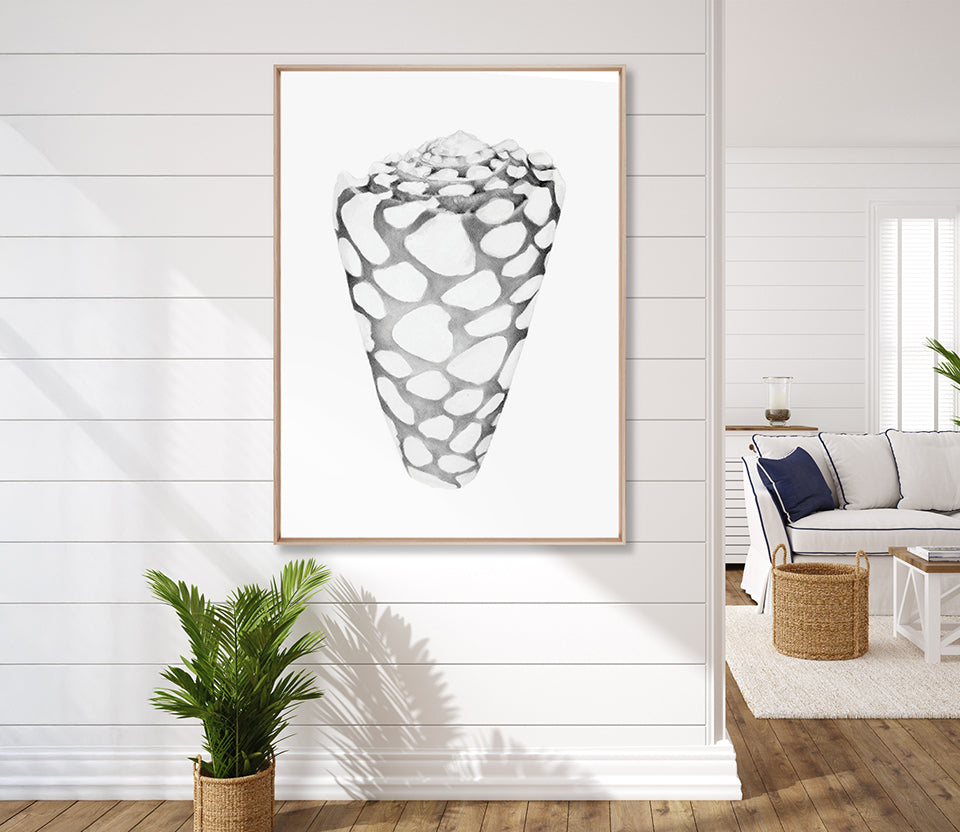 Exquisite Shell XII (Soft Grey) (Canvas)