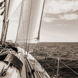 cc03-c-l_3