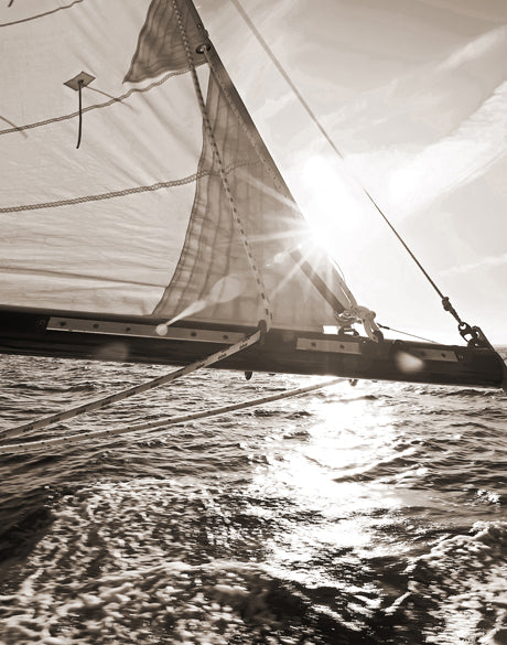 Nautical IV (Sepia)