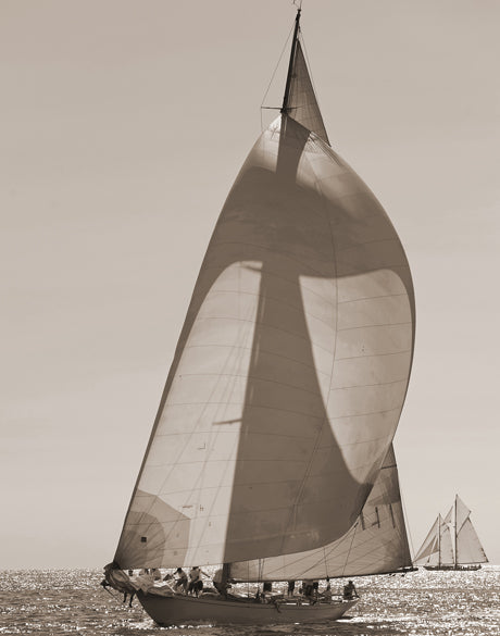 Nautical V (Sepia) (Canvas)