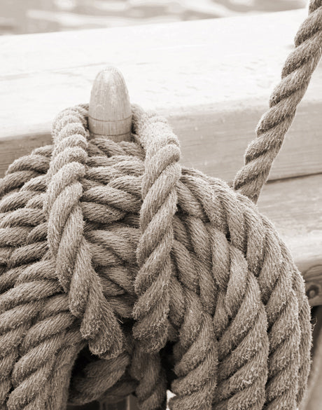 Nautical VI (Sepia) (Canvas)
