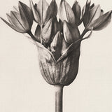 chartr01_3