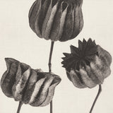chartr02_3