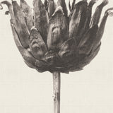 chartr06_3