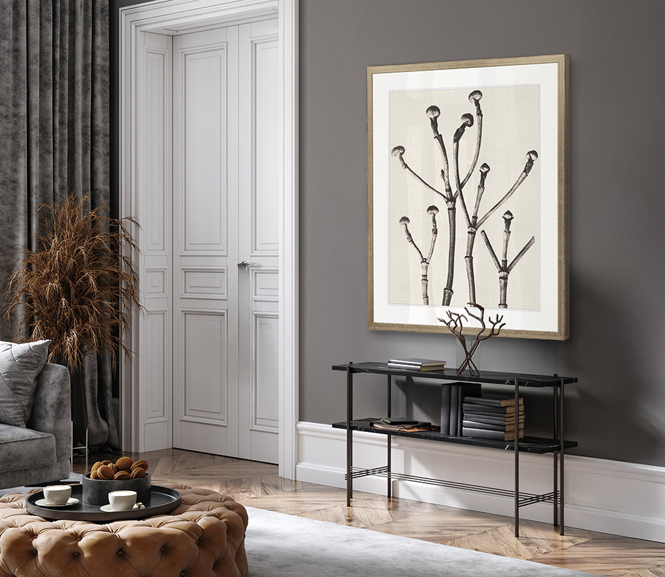 Botanique Specimen X