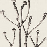 chartr10_3