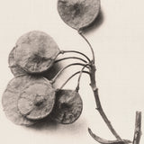 chartr13_3