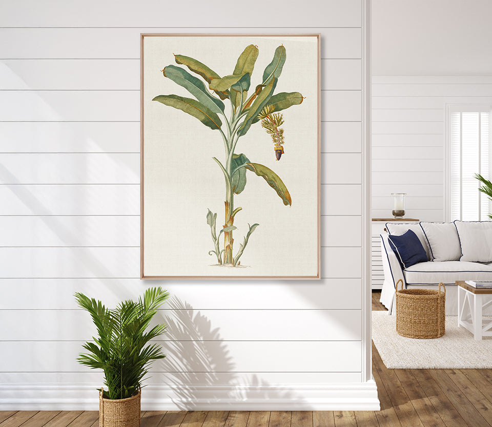 Tropical Splendour I (Canvas)
