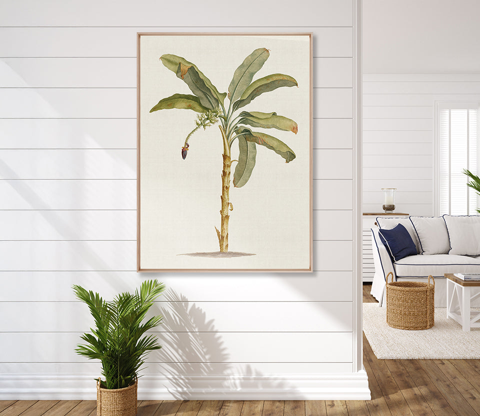 Tropical Splendour III (Canvas)