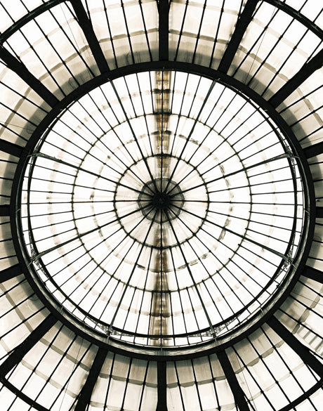 Ornate Ceiling II (Canvas)
