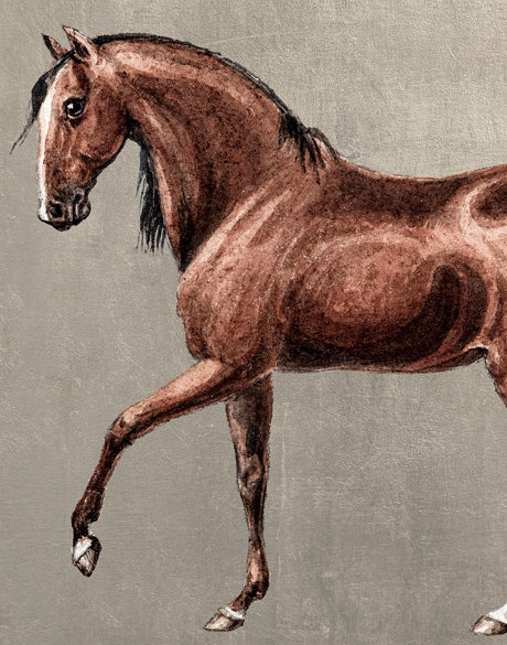 Elise Horses IV