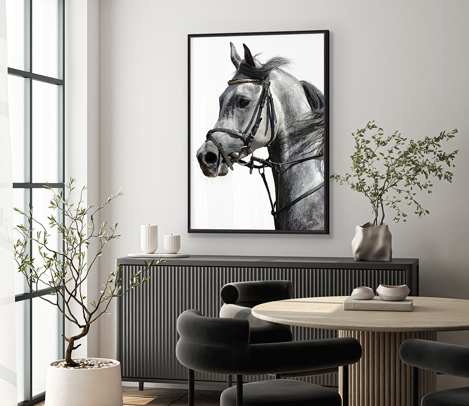 Majestic Thoroughbred III (Canvas)