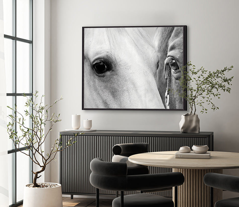 Majestic Thoroughbred VII (Canvas)