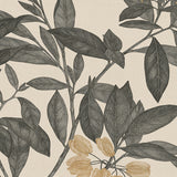coflor01-c_3