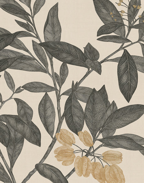 Cooks Floral Specimen I (Canvas)