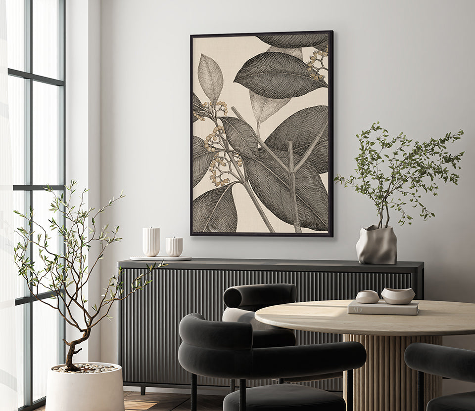 Cooks Floral Specimen II (Canvas)