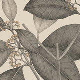 coflor02-c_3