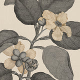 coflor05-c_3