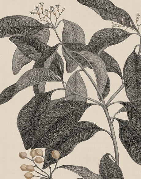 Cooks Floral Specimen VI (Canvas)