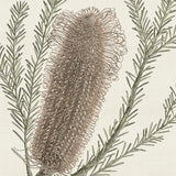 cook01-c_3