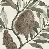 cook02-c_3