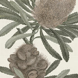 cook03-c_3