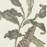 cook04-c_3