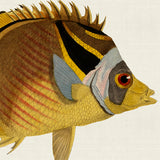 cuv06_3