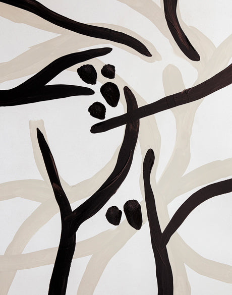 Indigenous Pathways IV