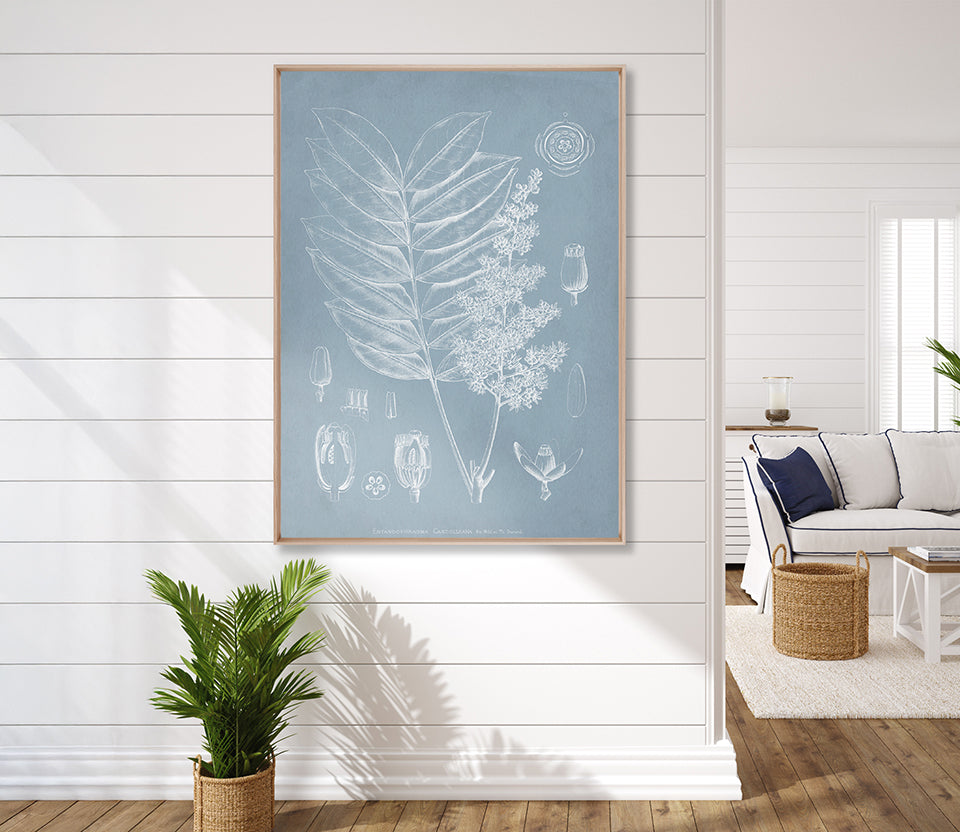 Botanical Study (Pale Blue) I (Canvas)